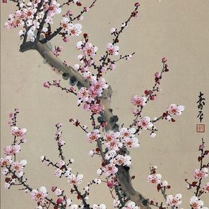 Meet your Posher, Mindi